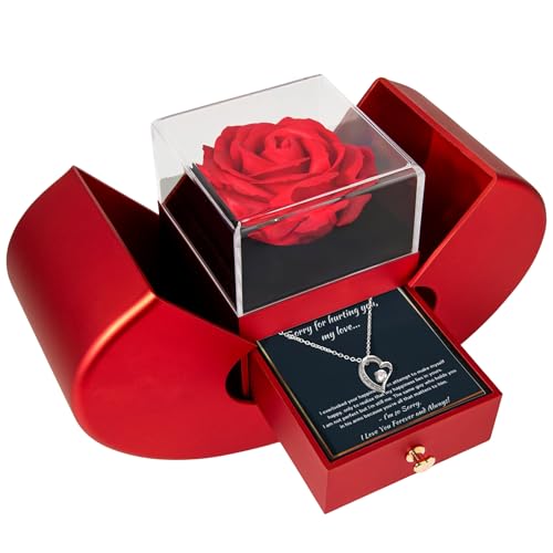FG Family Gift Mall Im Sorry Gifts For Her For Her I Love You I'm Sorry Gifts�AGiant Sorry Forgiveness �l�b�N���X ���b�Z�[�W�J�[�h�ƃM�t�g�{�b�N�X�t��, 