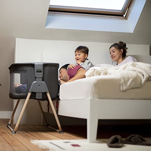 Variante de Maxi-Cosi cuna colecho Tori Beyond Graphite