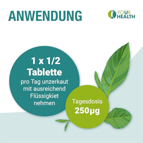 VITAMIN B12 + VITAMIN B9; METHYLCOBALAMIN 500µg + METHYLFOLAT 200µg; (1/2 Tablette pro Tag) (1)