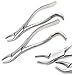 A2Z 2pc German Dental Extraction Forceps #18R #18L- For Extracting Maxillary Upper Right Left 1st & 2nd Molars from Alveolar Bone - Serrated Jaws & Sturdy Handle Grip - Made of Premium Stainless Steel