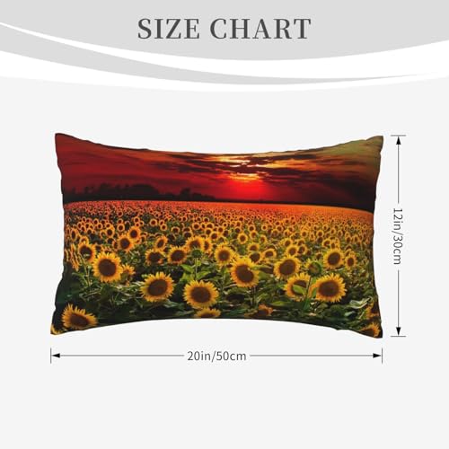 Housses de coussin coucher de soleil pour un salon ambiance cocooning