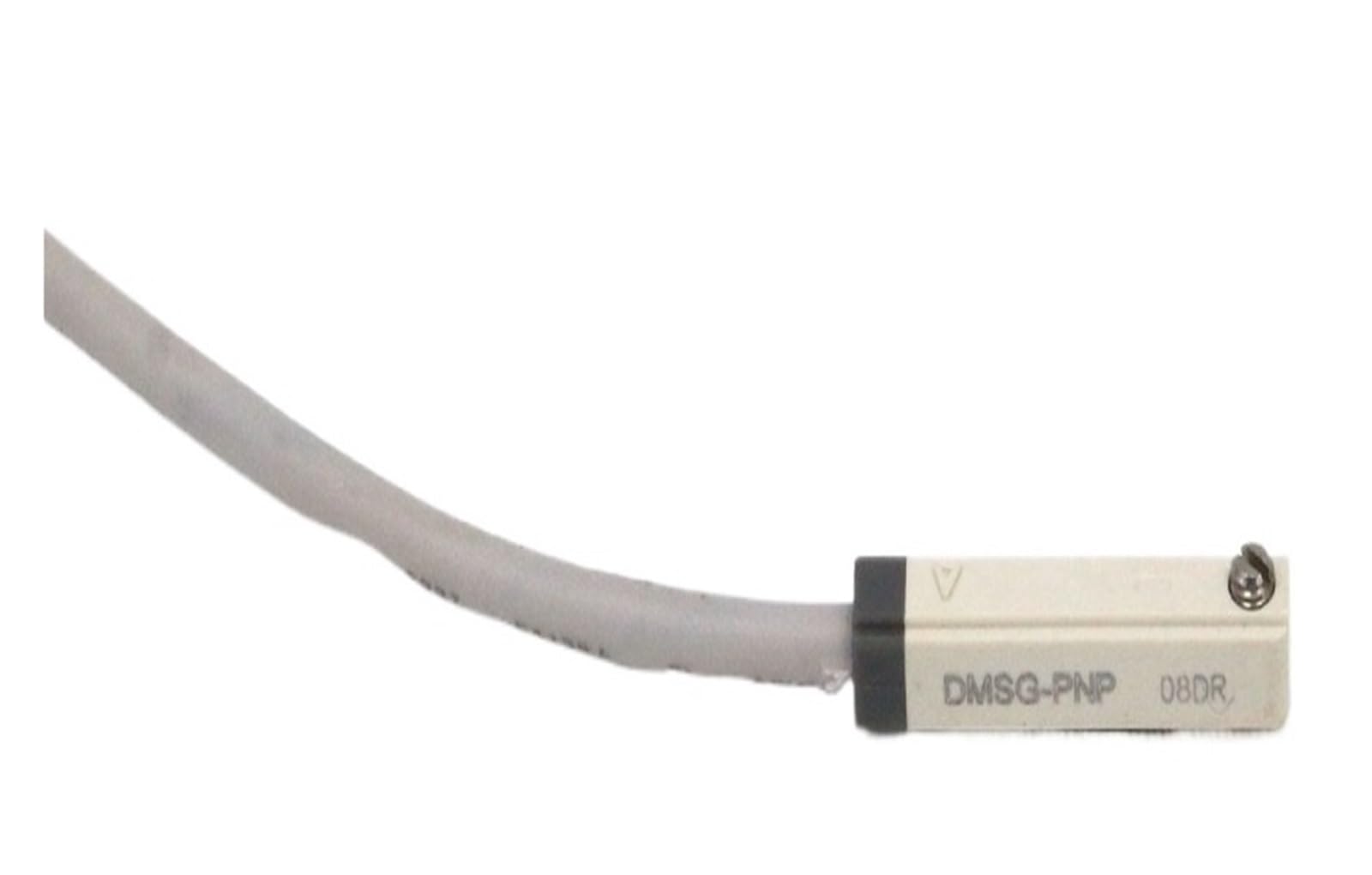 BFSYDLUJ 1PC DMSG-P020 DMSG-P030 DMSG-P050 Magnetic Switch Sensor(DMSG-P020 2M Cable)
