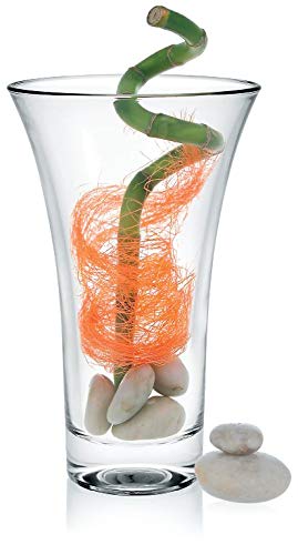 Mejores precios y opiniones de Floreros de vidrio grandes - cinco favoritos. 11 Imagen adicional