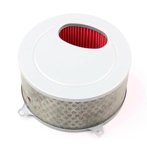 Filtre à air pour Daelim VL125 Daystar compatible avec la pièce 17213-BA1-0000