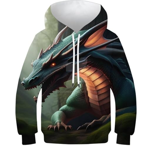 Sweat à capuche dragon 3D pull confortable fini les vêtements tristes pour ado 9-11 ans
