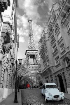Gb Eye Paris Red Girl Poster #TOP2