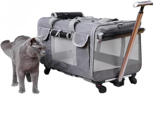 Barino L L[obO ybg L[J[g Lp L[ J[g 2CLp LX^[t X[cP[X |[^uX[cP[X e ܂ݎ obO g\  Lp bNL[ U s ʉ@ g[[P[X 