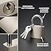 4 Pcs Small Silver Keyed Padlocks with Keys, Pad Locks,Solid Brass Padlock with Key, Lockers Locks with Same Keys for Toolbox, Sheds, Storage Unit, Gym, Fence, Lockers Padlocks