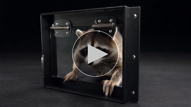 Amazon.com : JINKEY Raccoon Excluder One Way Door, Safe Removal