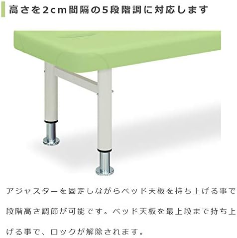 TENtoTEN 悪魔の実シリーズ ポヨポヨの実(ウォールナット) TENtoTEN 悪魔の実シリーズ ポヨポヨの実(モデルウォールナット