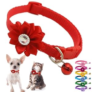 Red XS Dog Collar with Bell and Floral, XS Kitten Collars with Bell Flower Girl Puppy Collar Cute Adjustable for XSmall Extra Small Female Dogs Tiny Pets Little Cats Yorkie Chihuahua X-Small
