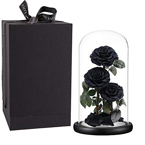 Get Special Price Preserved Roses Handmade Preserved Real Rose in Glass Dome, Black Roses Never Withered Gifts for Her, Valentine's Day, Mother's Day, Birthday, Christmas, Anniversary(13 inch) Get Special Price Preserved Roses Handmade Preserved Real Rose in Glass Dome, Black Roses Never Withered Gifts for Her, Valentine's Day, Mother's Day, Birthday, Christmas, Anniversary(13 inch)