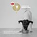 Peticare Muskulatur & Aktiv Pulver-Mix für Hunde | Ergänzungsfuttermittel mit Collagen & Aminosäuren | Unterstützung für Beweglichkeit & Vitalität | für aktive Hunde & Senioren | petDog Health 2503