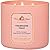 Body Works White Barn 3-Wick Scented Candle in Champagne Toast
