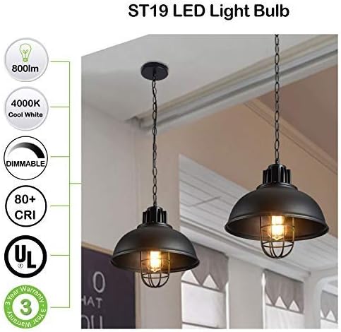hykolity Dimmable Vintage LED Edison Bulbs, 7.5W, Equivalent 60W, 800lm, Bright Daylight White 4000K, ST19 Antique LED Filament Bulbs, E26 Medium Base, Clear Glass, Pack of 6