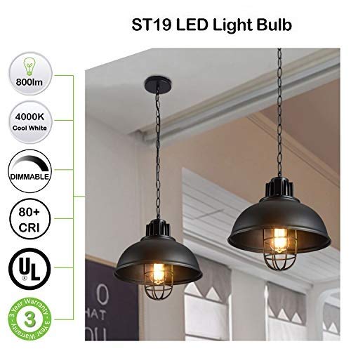 image for hykolity Dimmable Vintage LED Edison Bulbs, 7.5W, Equivalent 60W, 800l