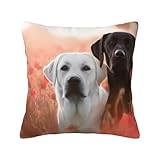 Cerniera invisibile: la federa decorativa stampata con labrador bianco presenta un design con cerniera invisibile, che combina estetica e praticità per una facile sostituzione e pulizia