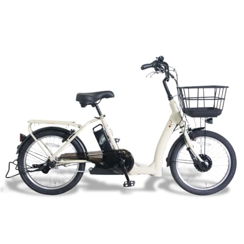 LOWSTEP TDN-209L 12Ah�o�b�e���[ [�x�[�W��]