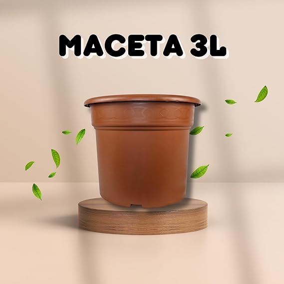 Terriccio Per Piante Aromatiche 3L | Miscela Ideale Per Rinvasi Adatto A Tutte Erbe Aromatiche E Piante Medicinali In Vaso Gebearth 95238215