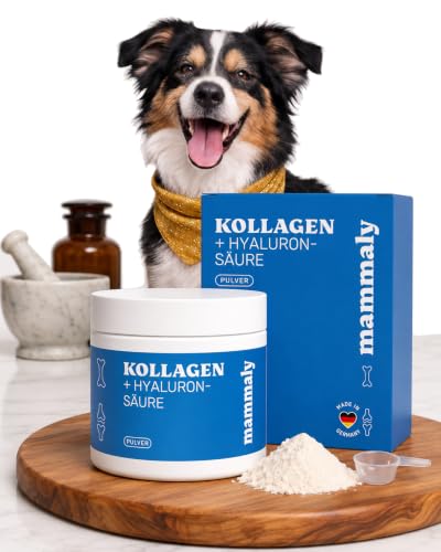 mammaly Kollagen & Hyaluron Pulver für Hunde - 99% Kollagenhydrolysat Gelenkpulver unterstützt Gelenke Sehnen Bänder - Natürliches Collagen Hund zur Nahrungsergänzung - 75g reichen bis zu 75 Tage