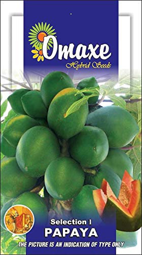 Papaya Selection I - Kitchen Garden Packet-image-27
