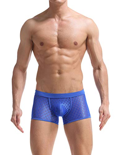 Men's Comfortable Sheer Sexy See-Through 3-Pack Boxer Briefs2