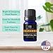 Radha Beauty -100% Pure Orange Essential Oil - 10ml bottle - Undiluted Therapeutic Grade - Cleanse Uplift and Focus