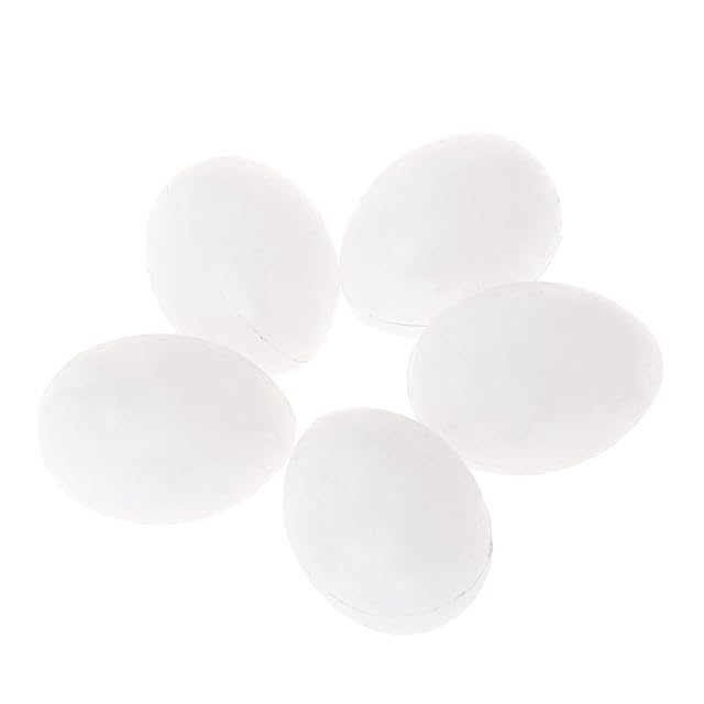 5 Huevos Artificiales para Loro, Huevos de Loro, Huevos Falsos para Incubar, para Loros