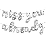 Farewell Decorations Party Going Away Party Decorations for Coworker We Will Miss You Decorations Miss You Already Balloons Banner Goodbye Bon Voyage Party Decoration (L MISS YOU ALREADY Silver)