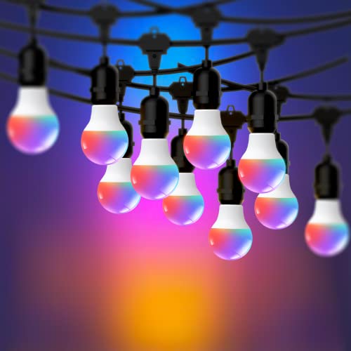 Goodsmann Low Voltage Landscape String Lights Color Changing Outdoor String Lights 50Ft Rgbw Hanging Colored Lights 3W Led 145 Lumen 10Pcs Light Bulbs Dimmable For Pools Decoration Party Patio #TOP7