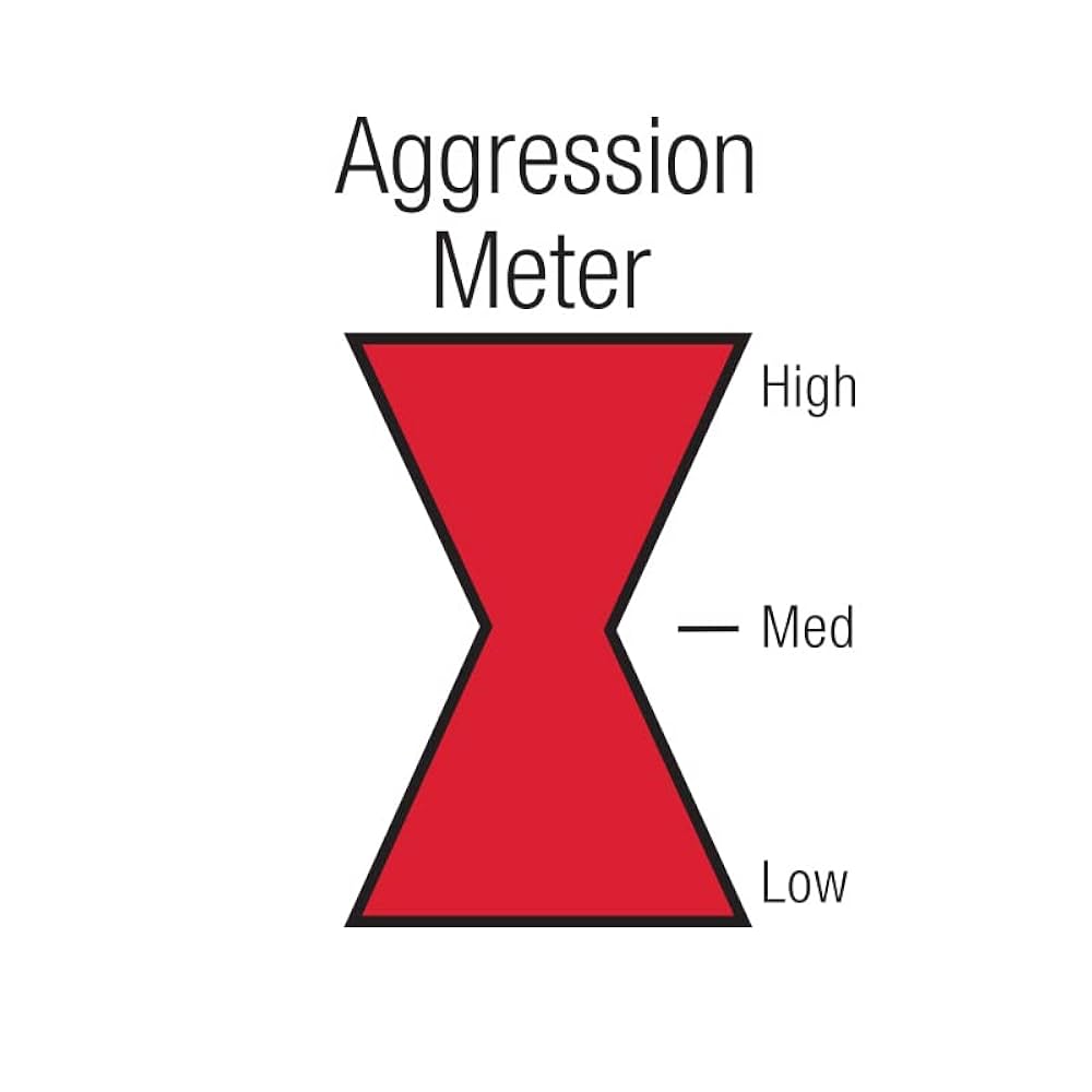 BLACK WIDOW TUNED PERFORMANCE EXHAUST series 6'' 2.5