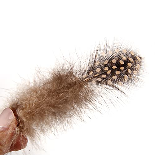 Tharaht Spotted Feathers 120Pcs 2-3Inch Small Natural Bulk Guinea Pheasant Feather For Crafts Hats Dream Catcher Decoration Feathers,Champagne #TOP1