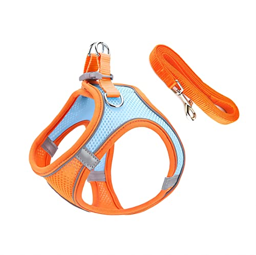 Qrity Cat Harness and Lead Set, Escape Proof Soft Cat Vest Harness with 1.5m/4.9 Ft Traction Rope