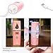 Nano Facial Steamer Mist Spray Eyelash Extensions Cleaning Pores Water SPA Moisturizing Hydrating Face Sprayer USB Rechargeable Mini Beauty Device (Pink)