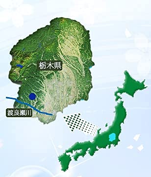 姫織 天然水 ミネラルウォーター 500ml 48本