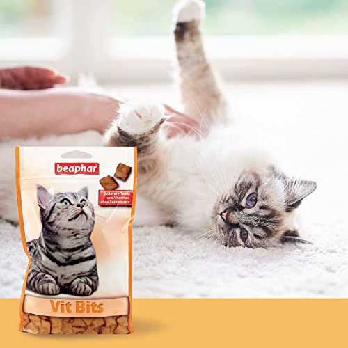 beaphar VIT Bits - Für Katzen - Zur Unterstützung der täglichen Vitaminversorgung - Katzensnacks - 1er Pack (1 x 150 g)