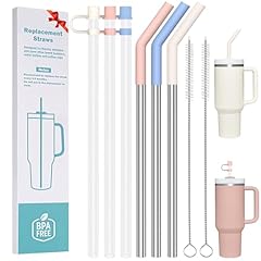3 Plastic Straws 3 Stainless Steel Straws for Stanley Tumbler