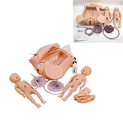 QHYTL Human Body Model for Kids, Female Pelvis Model Childbirth, Childbirth Simulator, Midwifery Model with Baby Models, Uterus, Amniotic Sac, Pelvis, and Placenta/Umbilical for Gynecology Teaching