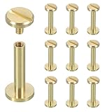 uxcell 10セット シカゴスクリューリベットM4x20mmメタルフィリップ スヘッドポストネイルリベットスタッドスクリューコネクター DIYレザーベルトバッグクラフトブックバインディング用 真鍮