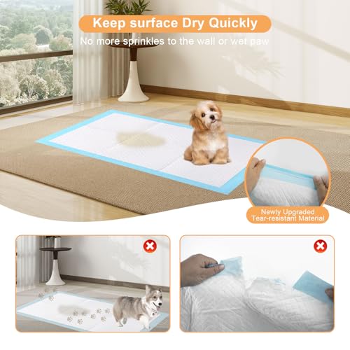 Image of Pee Pads for Dogs 31 inchX55 inch Dog Pads Extra Large 100count,XXXXL Puppy Pee Pads Leak-Proof & Super Absorbent Pet Dog Pee Pads,Thicken Disposable Potty Pads Puppy Training Pads for Cats Rabbits
