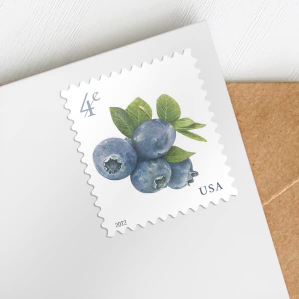 Myrtilles 2022 timbres d'appoint pour compléter vos envois - 3