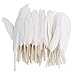 Produktbild ERGEOB Gans Federn 100 stück Naturfedern 10-15cm/4-6 Zoll Länge für Art Design Basteln Karneval Rosen Montag Halloween Fest versch. Farben