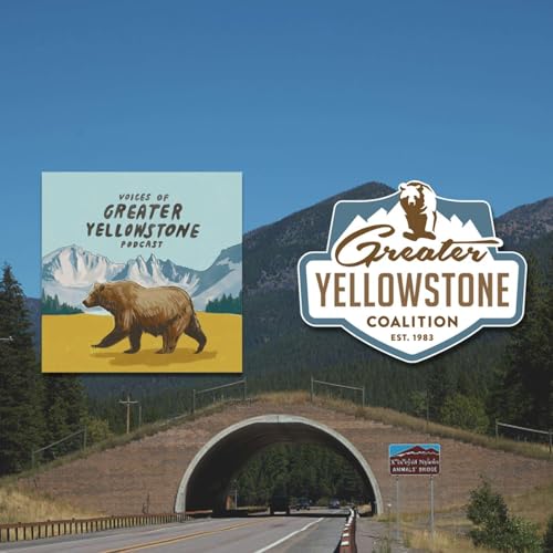 Making Strides for Montana Wildlife Crossings