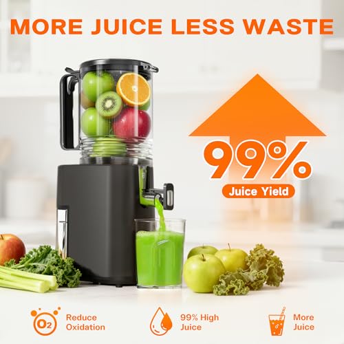 Cold Press Juicer, 5.5inch Wide Feed Chute Juicer Machine, Slow Masticating Juicer for Whole Vegetables & Fruits, Gray - Image 4