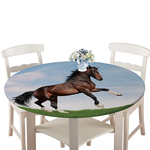 Rondes Imperméable Nappe avec Bord élastique, Treer 3D Anti-Taches Lavable Entretien Facile Nappes avec Animal Imprimé Nappe de Table pour Cuisine Picnic Party Jardin Table (Cheval,130cm) Cover