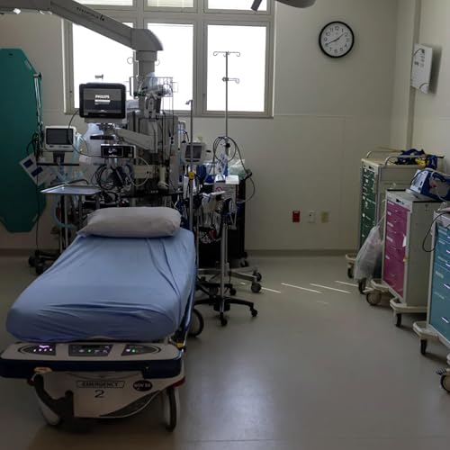 Medicaid and the state budget