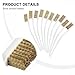 10-Piece Brass Wire Brush Set for Rust Removal, Metal Cleaning & Industrial Use – 6.7-Inch Plastic-Handled Brushes