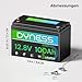 Dyness Lithium Batterie 12V 100Ah LiFePO4 Akku mit 100A BMS, Niedertemperatur-Abschaltung, Max 15000 Zyklen, 1280Wh Lithium Deep Cycle Solarbatterie für Wohnwagen, Camping, Solar Home Systeme, Boote
