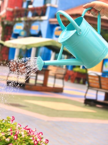 Joequality Watering Can For Outdoor&Indoor Plants，1 Gallon Metal Plant Watering Can With Detachable Diffuser Spout，Beautiful Galvanized Steel Gardening Tools，Light Blue #TOP1