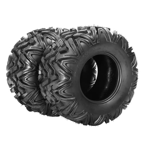 Parts-Diyer Pair of 2 24x11-10 ATV Tires,24x11x10 All-Terrain UTV Tires,6 Ply,Tubeless,Non-Directional Knobby Tread